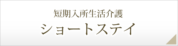 短期入所生活介護／ショートステイ